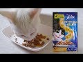 【フィリックス/felix】キャットフード（ウェット）実食レビュー