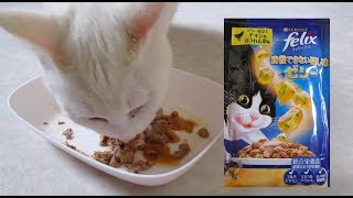【フィリックス/felix】キャットフード（ウェット）実食レビュー