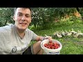 VLOG ПРИЕХАЛ К МАМЕ В ГОСТИ..