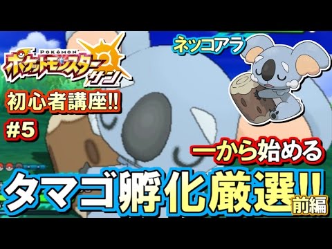 ポケモンsm 初心者講座 ポケモン サンムーン実況プレイ Part5 はじめてのタマゴ孵化厳選 前編 Youtube