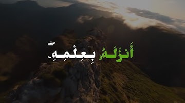 لكن الله يشهد بما أنزل إليك أنزله بعلمه | تلاوة من سورة النساء بصوت الشيخ أحمد نعينع 💙