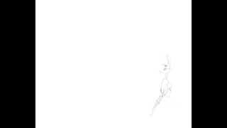 daffy duck pencil test (pato lucas)