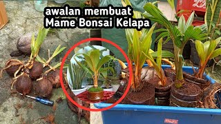 THE EASY WAY TO MAKE A MAME COCONUT BONSAI