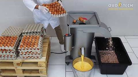 Automatic egg cracker UDTJ-150 by OVO-TECH