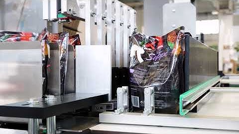 Stand up resealable pouches on Sotemapack WA 20 wrap around case packer by Robopac USA