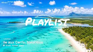 🌊 𝐎𝐜𝐞𝐚𝐧 𝐃𝐚𝐲𝐝𝐫𝐞𝐚𝐦 𝐏𝐥𝐚𝐲𝐥𝐢𝐬𝐭 | Turn on the AC, this is a refreshing ocean vibe playlist • Cafe Work Mus