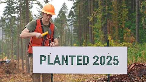 Always Replanting S25 30