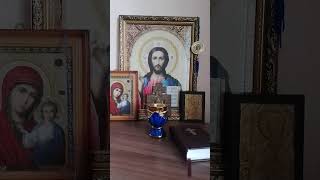 Ирод-образ раздражённого самолюбия,Иоанн Предтеча- образ правды...Свт. Феофан Затворник #словасвятых