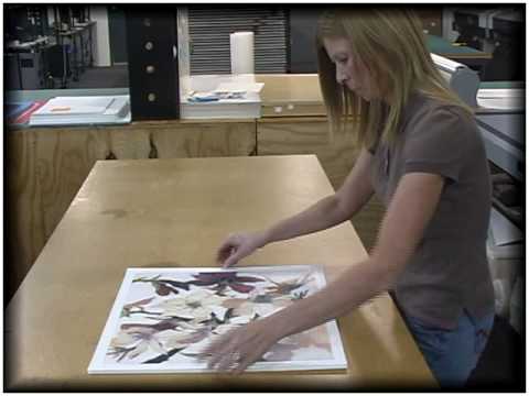 Mounting Your Artwork for DIY and Custom Framing with American Frame ...