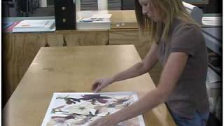 Mounting Your Artwork for DIY and Custom Framing with American Frame