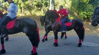 Desfile Hípico Quesada, Jutiapa. 2018 Parte 2/2