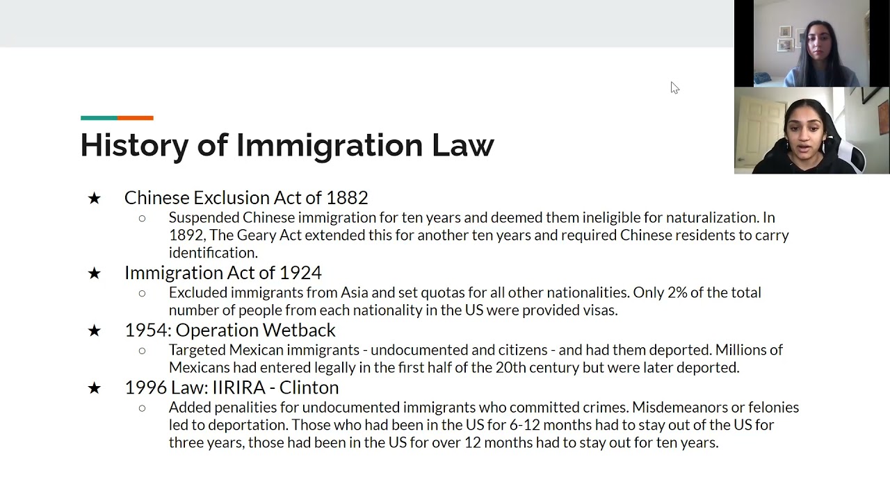 1 Immigration Law Basics 