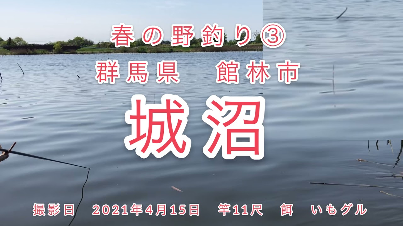 群馬県館林市 城沼 春の野釣り ヘラ マブナ 21 4 15 Youtube
