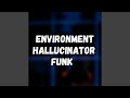 Environment hallucinator funk