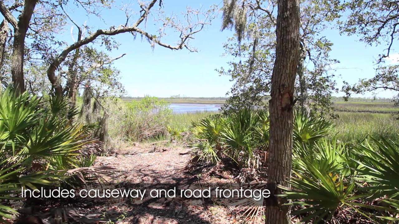 Island for sale Jacksonville Fl YouTube