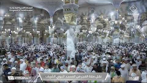 ۞ ماتيسر من سورة ألانبياء بمقام السيكا و الرست|فجر الجمعة 24 ربيع الأول 1446هـ لــ الشيخ خالد المهنا
