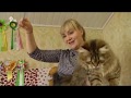Питомник сибирских кошек Spark Heart
