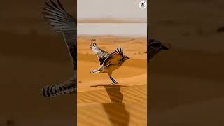 #viralvideo#subscribe for more videos #watch till end