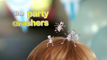NitWits All-in-One | Treat Head Lice In One Go
