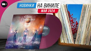 Обзор новинок на виниле (Май 2024)