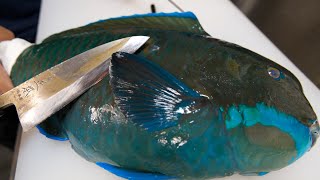 不気味な魚のお腹を開くととんでもないことに。。。