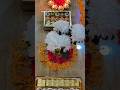 Glimpse of Diwali 🌼🪔 #song #music #diwali #homedecor