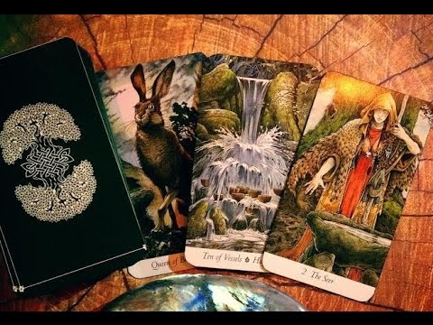 The Wildwood Tarot Review Youtube