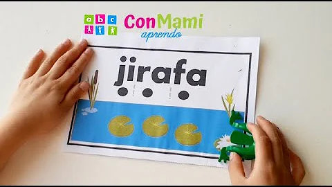 Che cosa studia la fonologia?