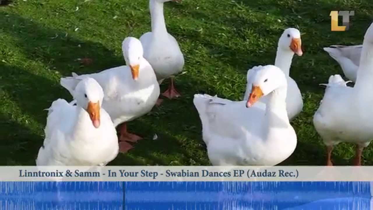 Watch Linntronix & Samm - In Your Step on YouTube Watch Linntronix & Samm - In Your Step on YouTube