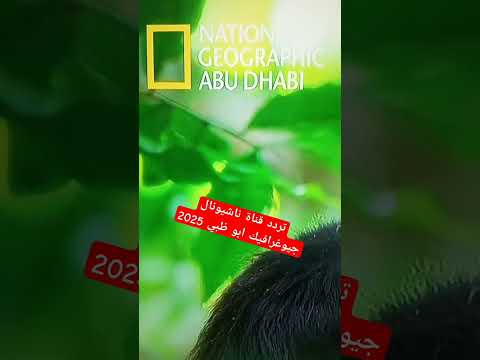 تردد ناشيونال جيوغرافيك تردداتك عندنا تردد ترددات ناشيونال جيوغرافيك شورتس