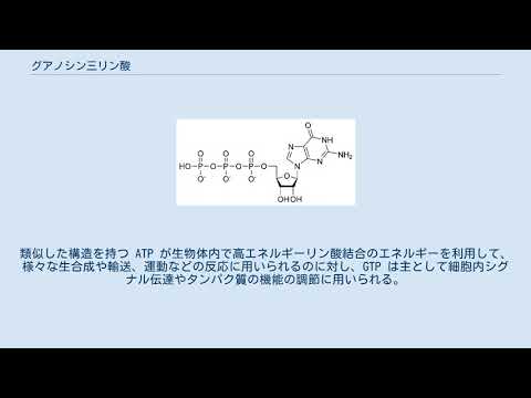 グアノシン三リン酸