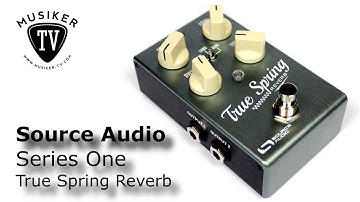 Source Audio Series One True Spring Reverb - Review