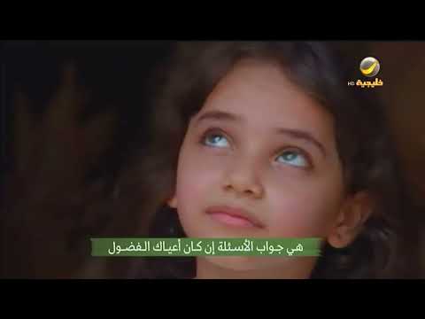 هي جواب الاسئلة