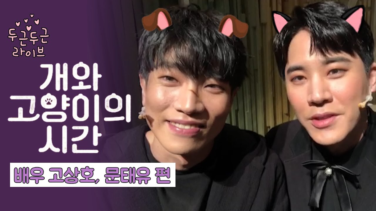 뮤지컬 '개와 고양이의 시간' 고상호, 문태유의 '개들의 랩소디' [두근두근 라이브]