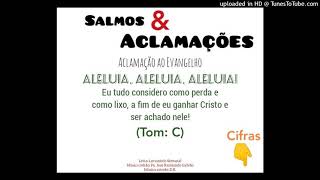 Vídeo de ALELUIA - EU TUDO CONSIDERO COMO PERDA (Salmos e Aclamações)