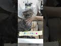 あの巨大猫ちゃんがドヤ顔したワケww