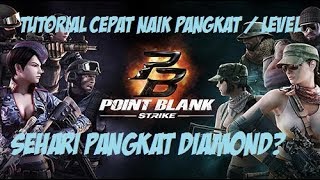 TUTORIAL CEPAT NAIK PANGKAT/LEVEL PB STRIKE - Point Blank Strike Gameplay