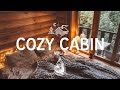 Cozy Cabin 🏕️ - A Calming Indie/Folk/Chill Playlist | Vol. 2