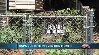 USPS Works to Reduce Dog Attacks on Mail Carriers