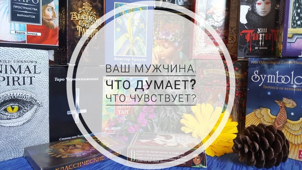 Барбара радзивилл таро гадание дзен