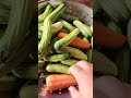 Trosok Steak | Vegetables #shorts #shortvideo
