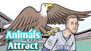 MLB | Animals on the field