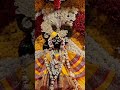 Sri Banke Bihari Ji @ Sri Vrindavan Dham#Divine & Blissful Darshan#shorts