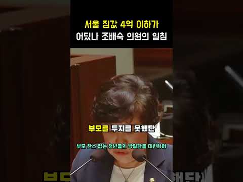 서울 집값 4억 이하가 어딨나 조배숙 의원의 일침 청년들·그림 이 한마디에 상황이 뒤집힙니다