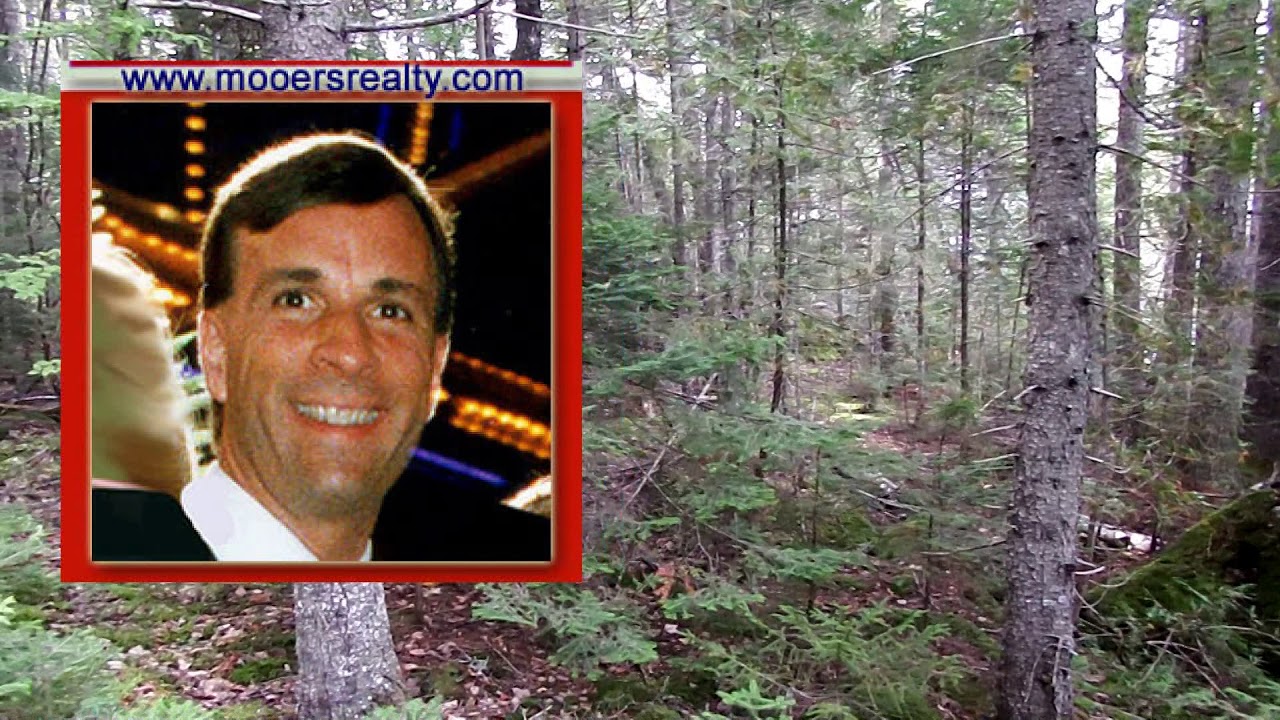 East Grand Lake Land For Sale Lot 4 Sprague Lane Danforth ME MOOERS