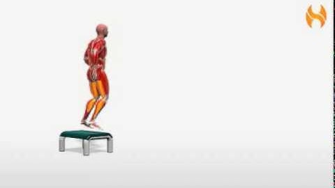 Exercise Videos- Depth Jump and Lateral Sprint