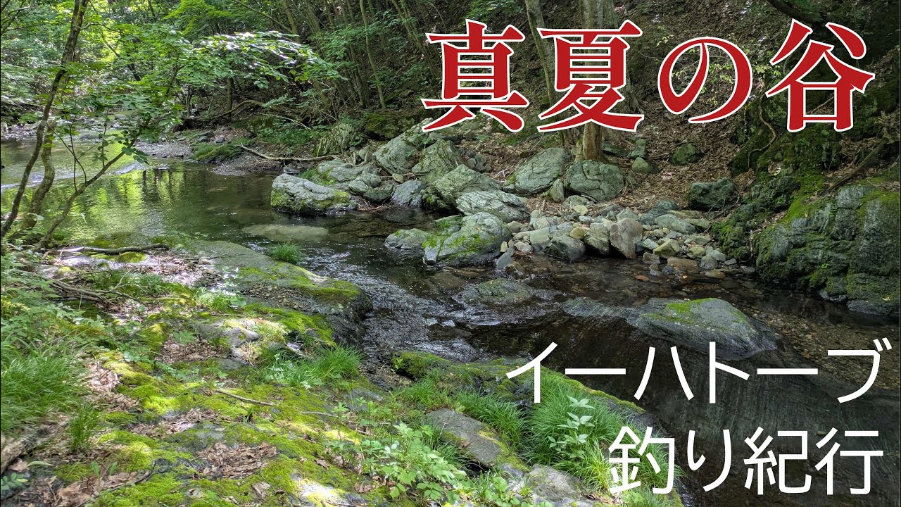 真夏の谷の釣り【フライフィッシング】続・解散の川の釣り【イーハトーブ】