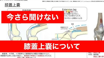 膝蓋上嚢 Youtube