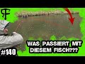 Er fängt einen GROßEN Fisch, dann passiert das!