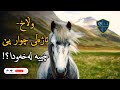 دیتنی چوارپێ وڵاخ ئاژەڵی چوار پێ چییە لەخەودا
